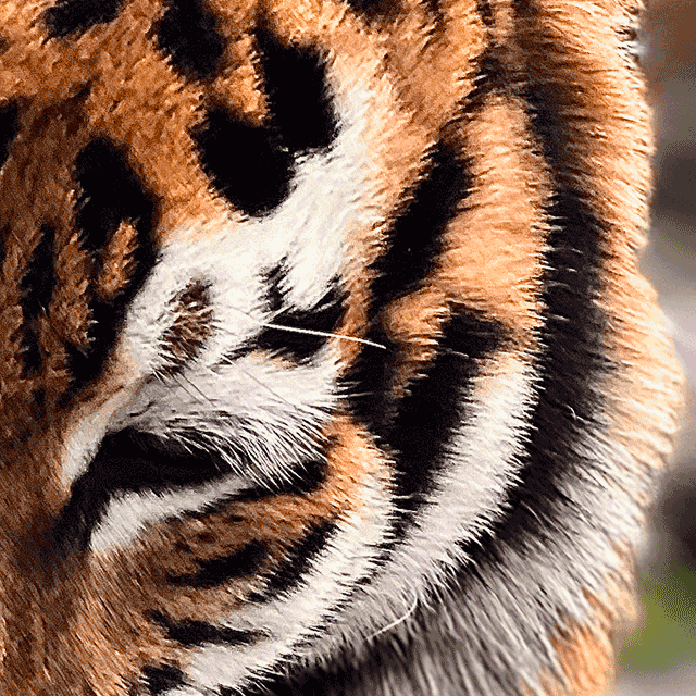 1cce880f2405e3f79aef8dee3cb5f80c.png