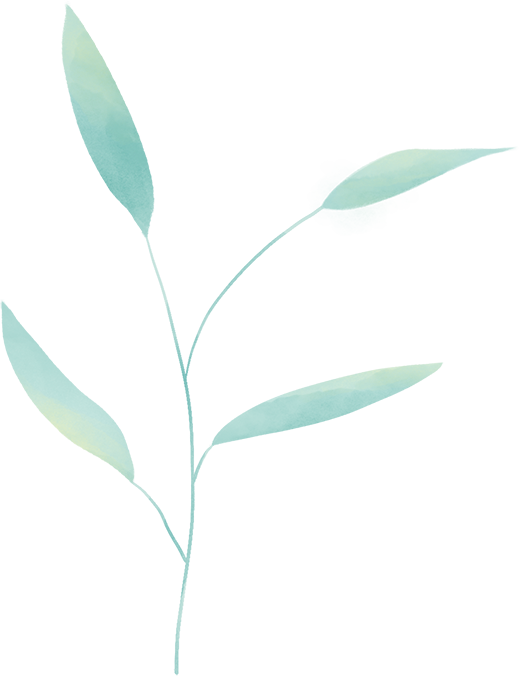 6ef5e387436bcc530bda8d59318f7779.png